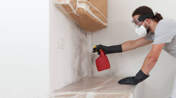 Professional Bathroom Mold Removal technician working in Fuquay-Varina, NC