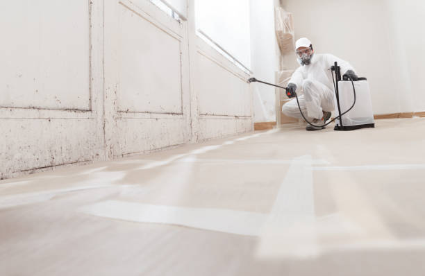 24/7 Emergency Bathroom Mold Removal experts in Fuquay-Varina, NC